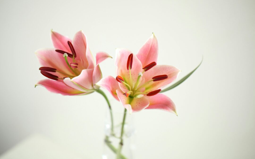 THE BEAUTY OF HAVING FRESH FLOWERS IN YOUR HOME