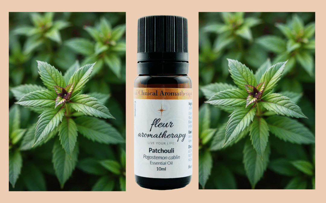 PATCHOULI ESSENTIAL OIL: WHY EVERY HOME NEEDS THIS EARTHY TREASURE