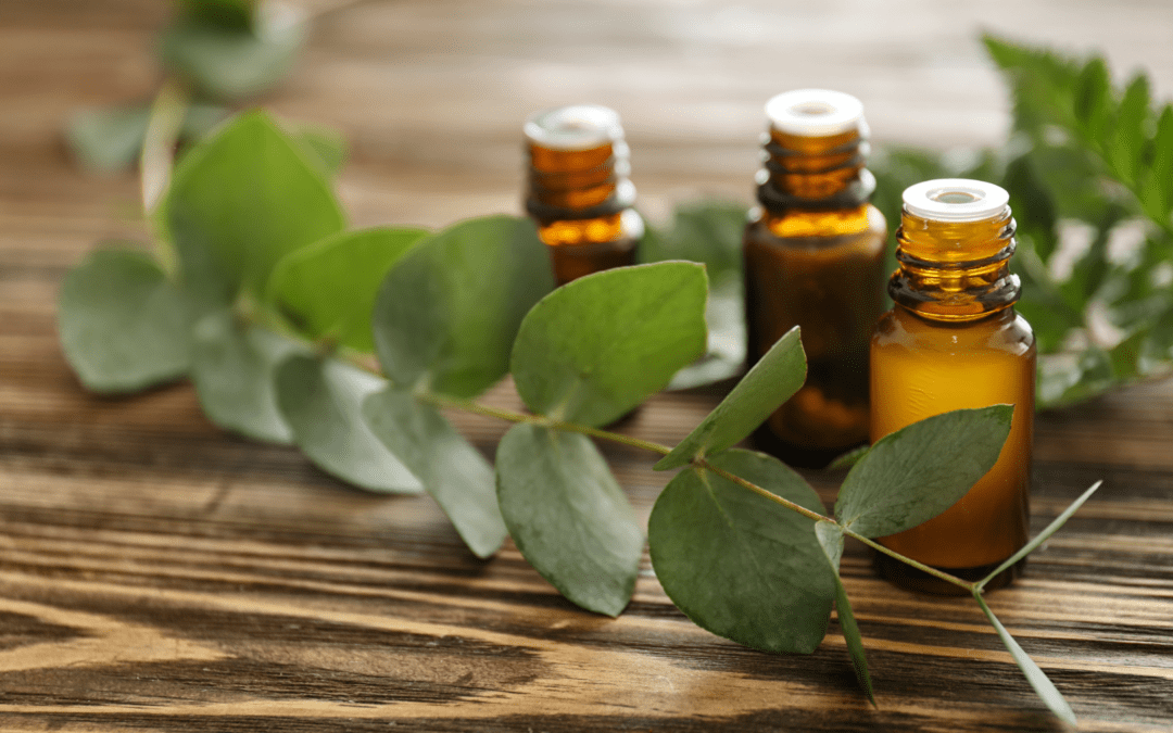 EUCALYPTUS ESSENTIAL OIL: AND WHY EVERY HOME NEEDS IT