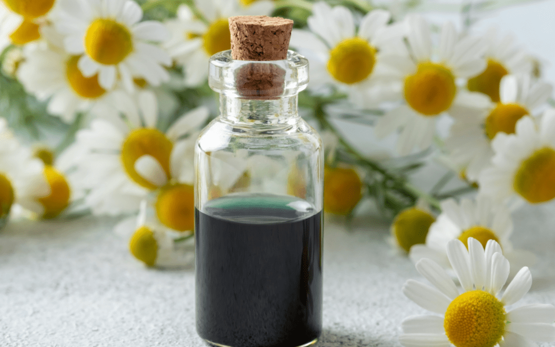 GERMAN CHAMOMILE ESSENTIAL OIL: LIQUID CALM FOR SKIN, SOUL, AND NERVOUS SYSTEM