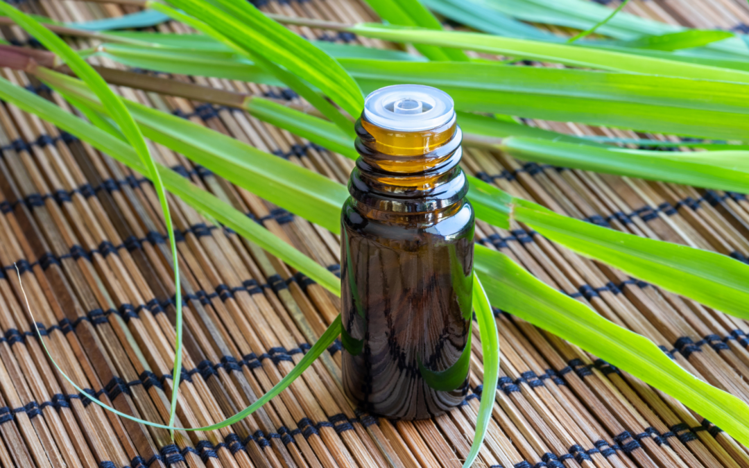 CITRONELLA ESSENTIAL OIL: THE FRESH, FIERCE PROTECTOR EVERY HOME NEEDS