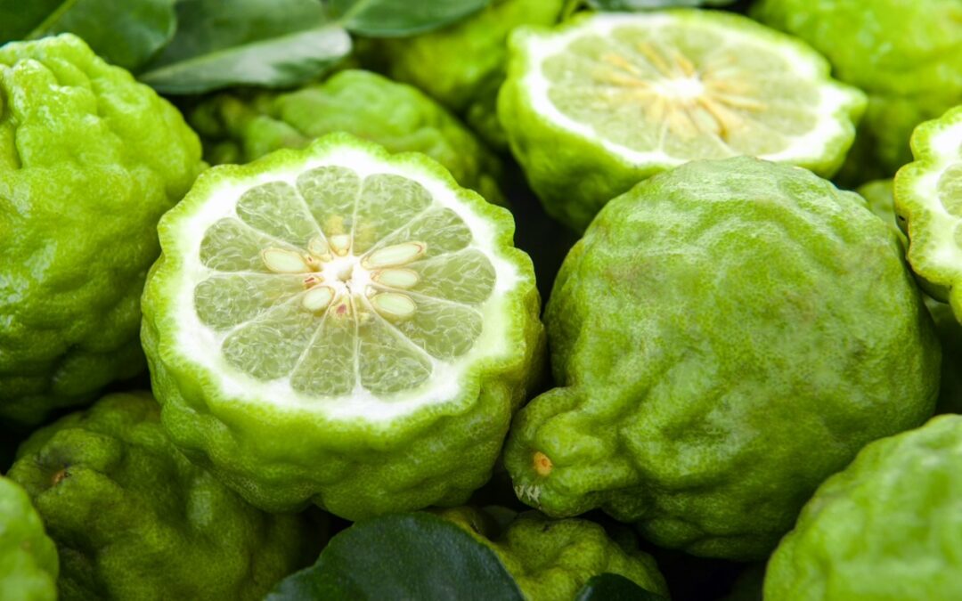 BERGAMOT FCF ESSENTIAL OIL: SUNSHINE CITRUS WITH SOUL