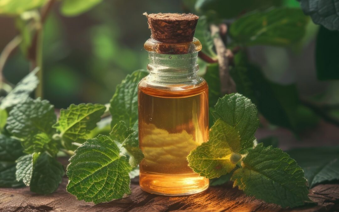 PATCHOULI ESSENTIAL OIL: BENEFITS, USES & WHY IT’S SO UNIQUE