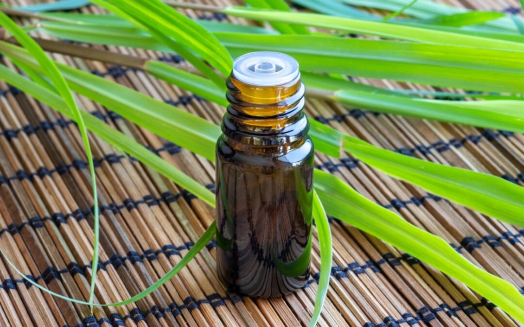 CITRONELLA ESSENTIAL OIL: THE FRESH PROTECTOR EVERY HOME NEEDS
