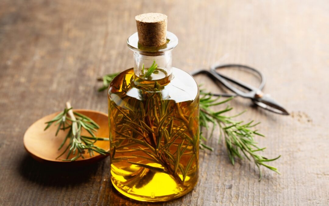 ROSEMARY CINEOLE ESSENTIAL OIL: BENEFITS, USES, AND THE SECRET BEHIND ITS CLARITY POWER